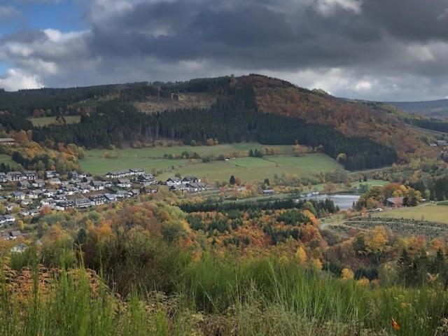 Lindenhof Am See Winterberg Bagian luar foto